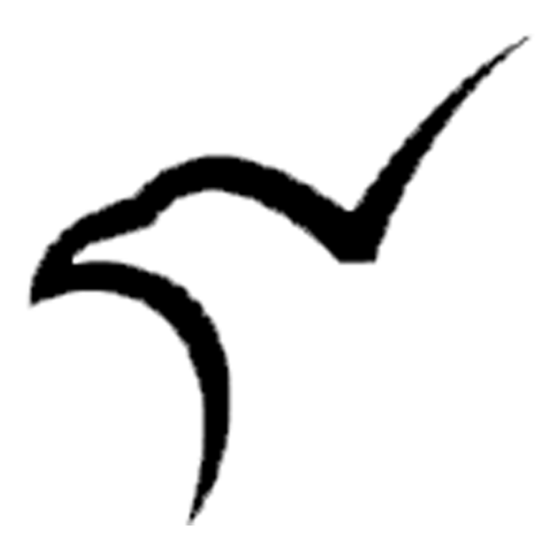 Falcon Air logo